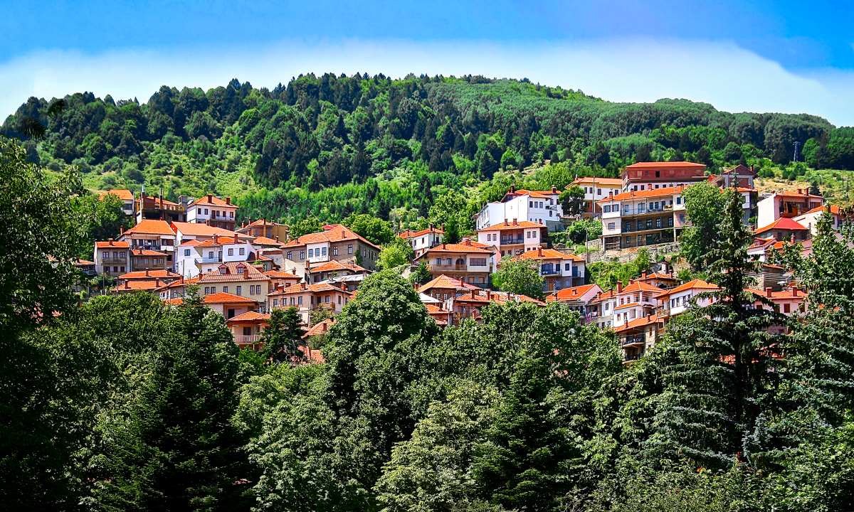 Μέτσοβο
