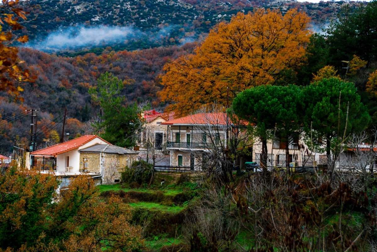 Αμπελιώνας Μεσσηνία