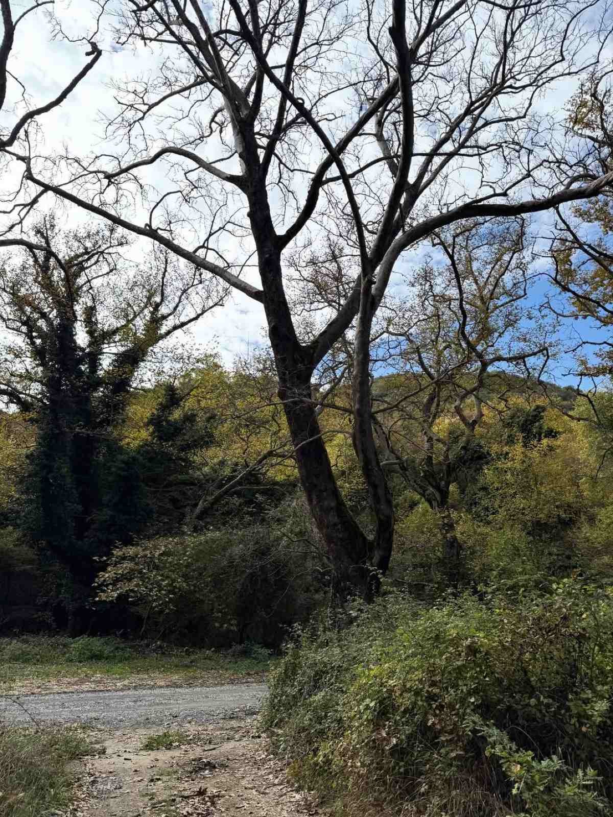 Η Ελένη Μενεγάκη στο Instagram