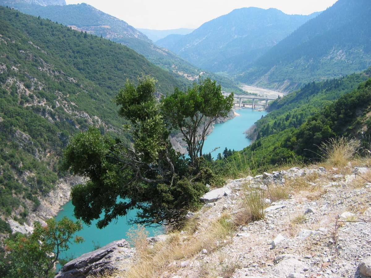 Εύηνος