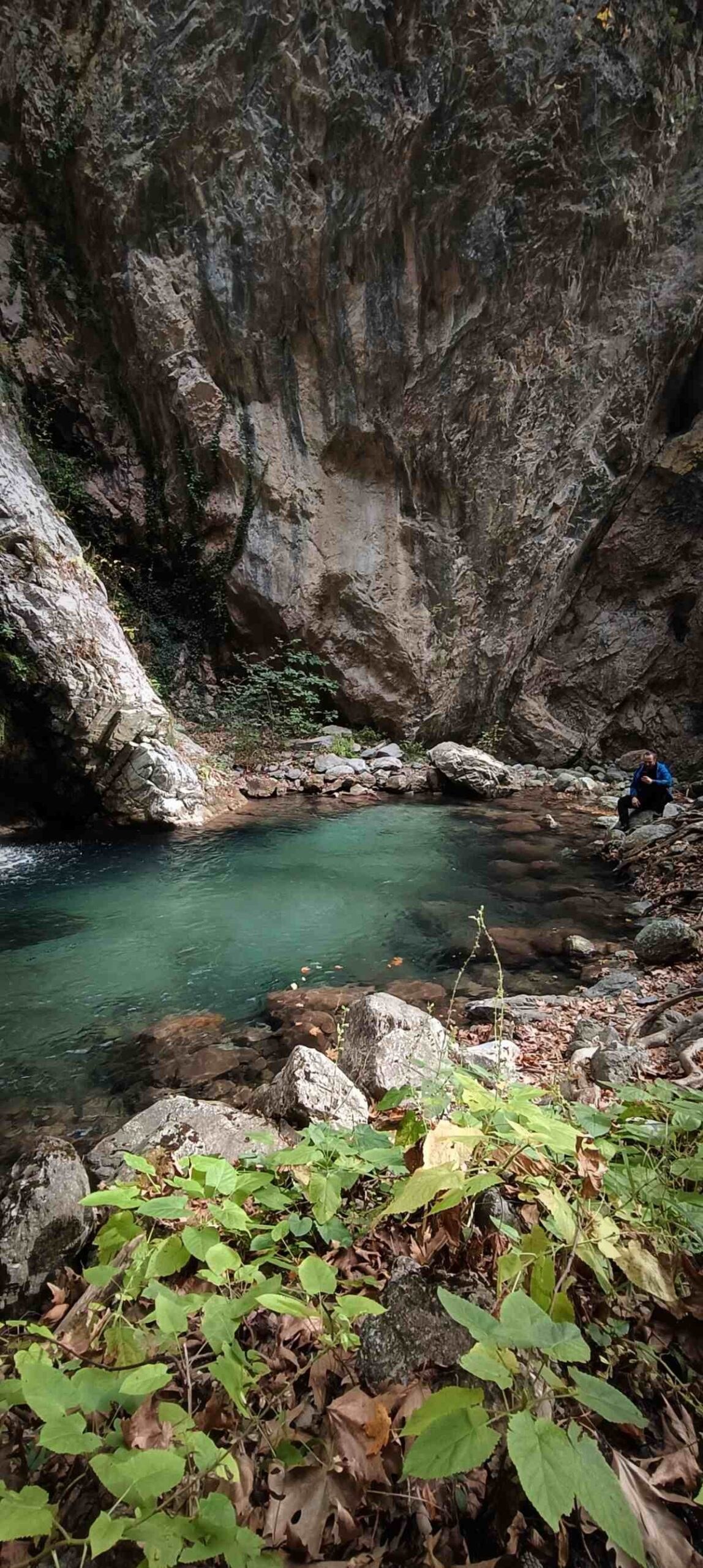 Κουνουπίτσα