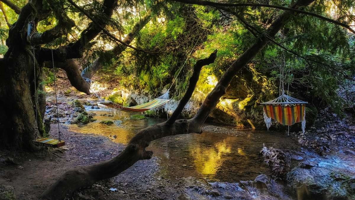 παύλιανη