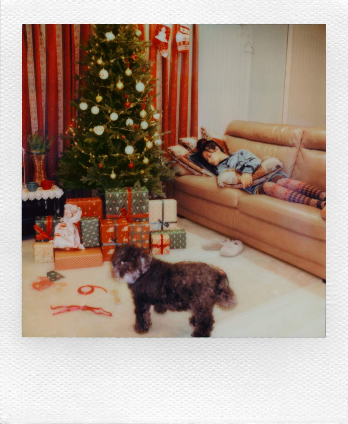 Polaroid