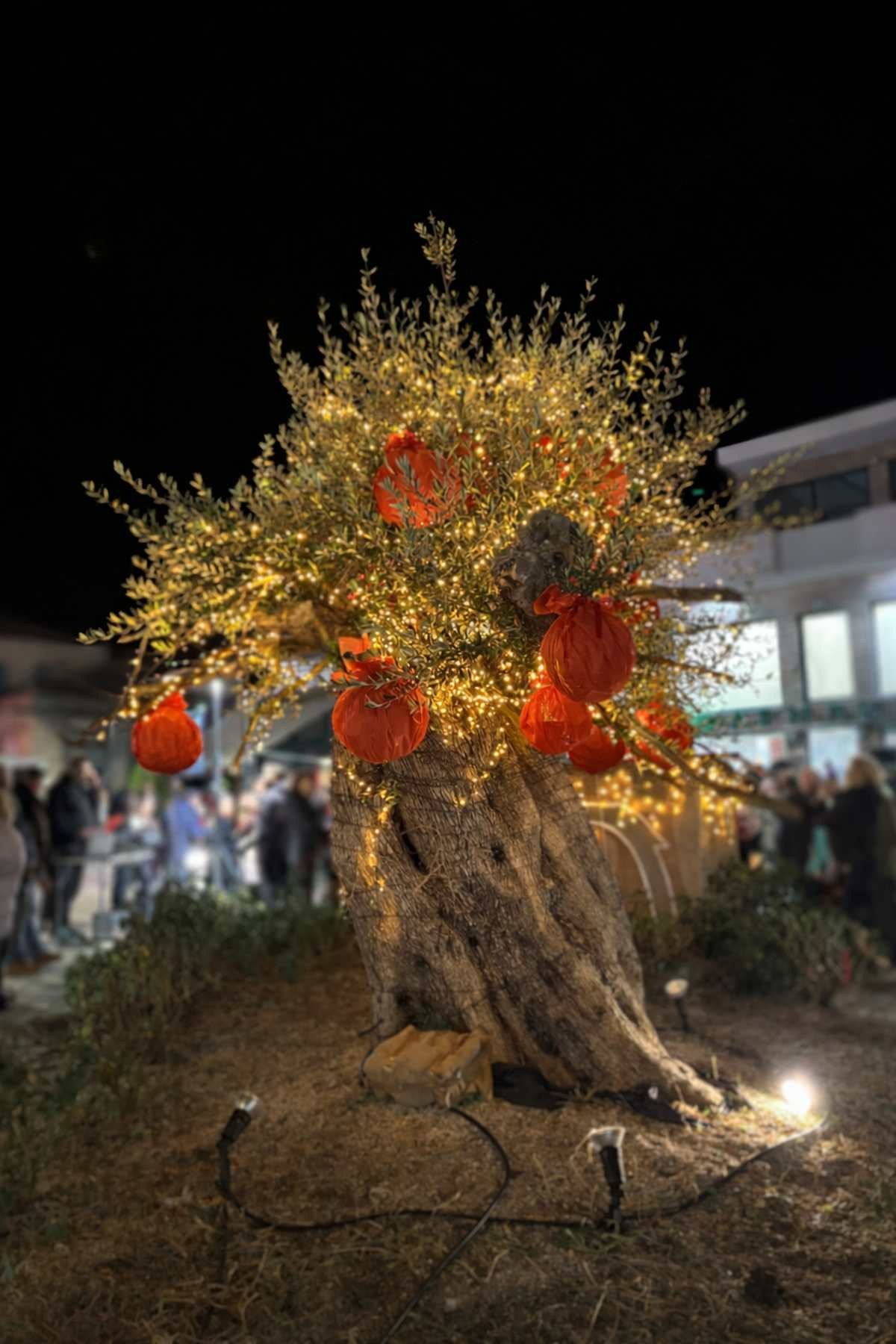 Κυπαρισσία