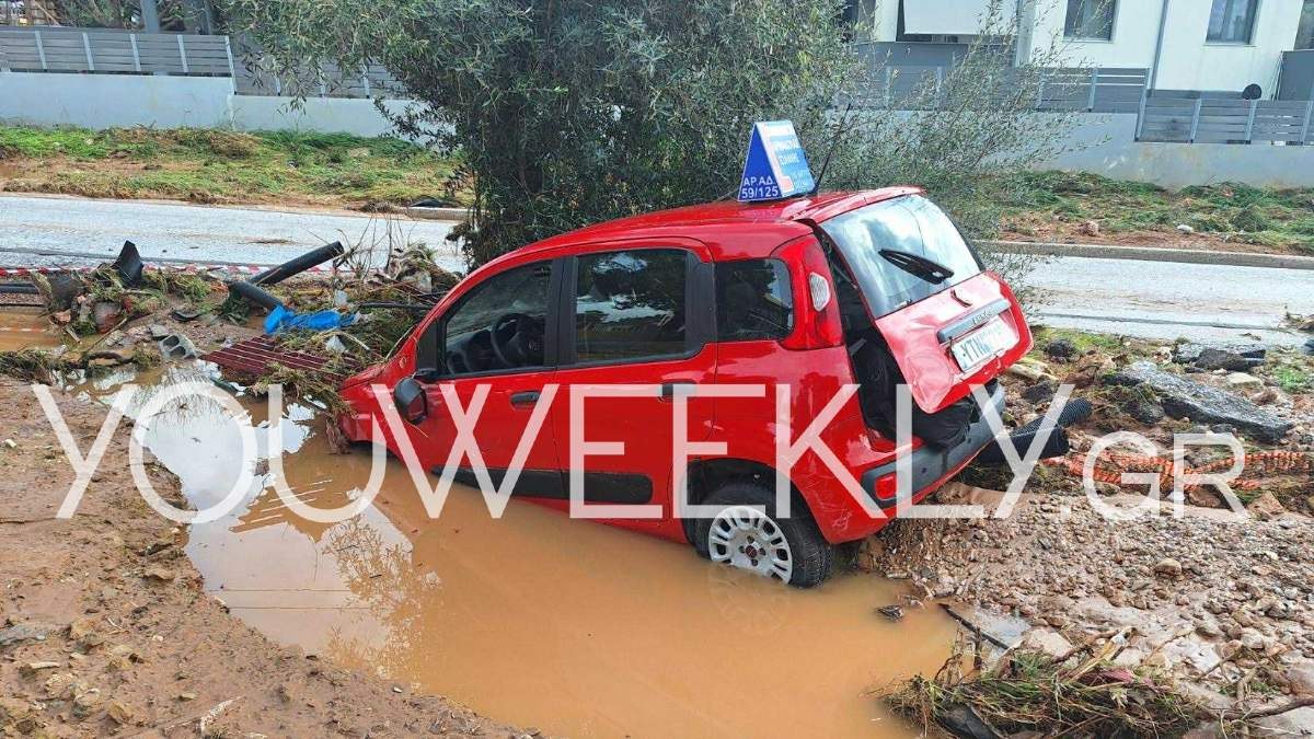 Γιάννης Αρμακόλας - Δάσκαλος οδήγησης