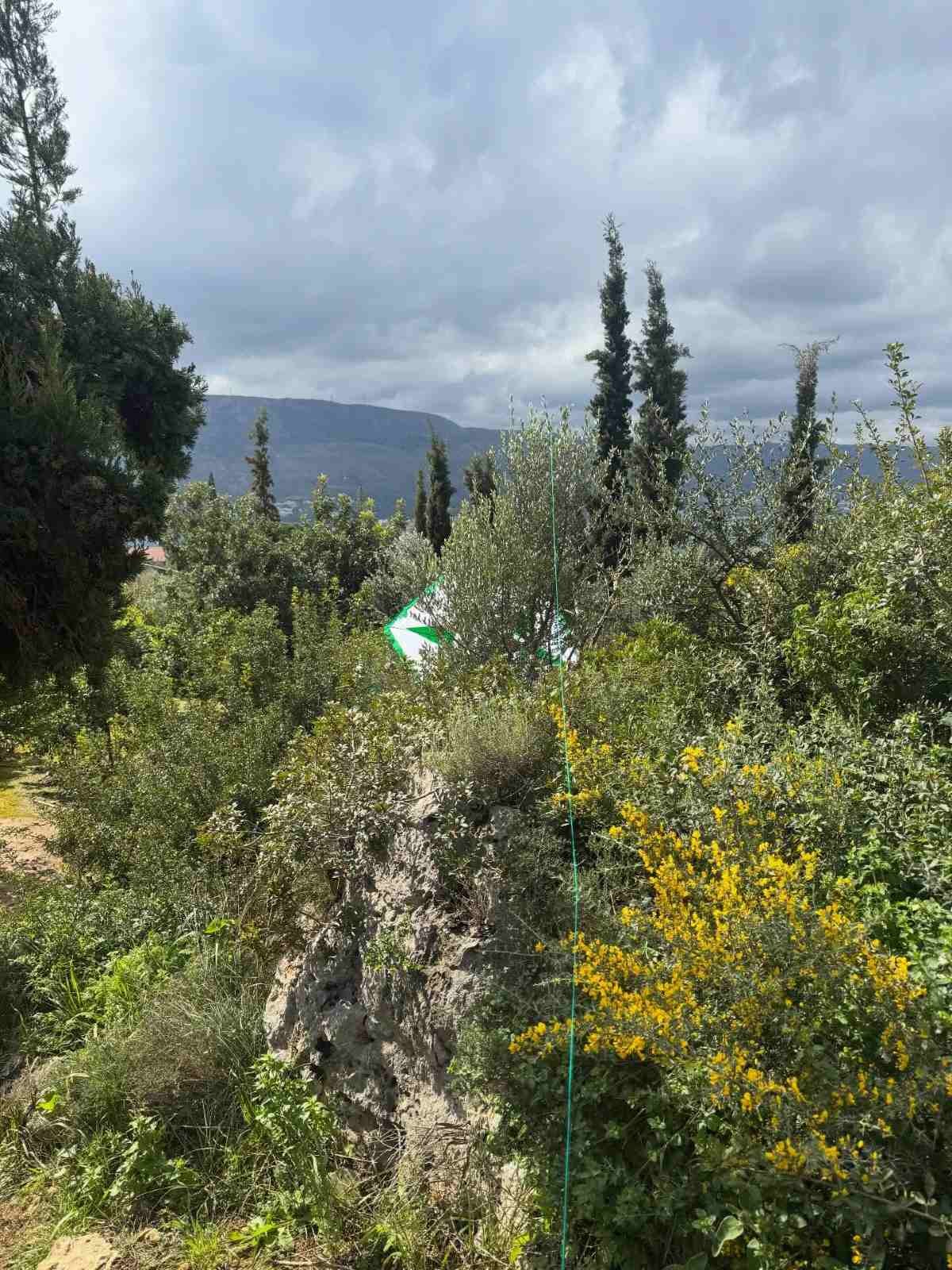 Η ανάρτηση του Κώστα Μπακογιάννη