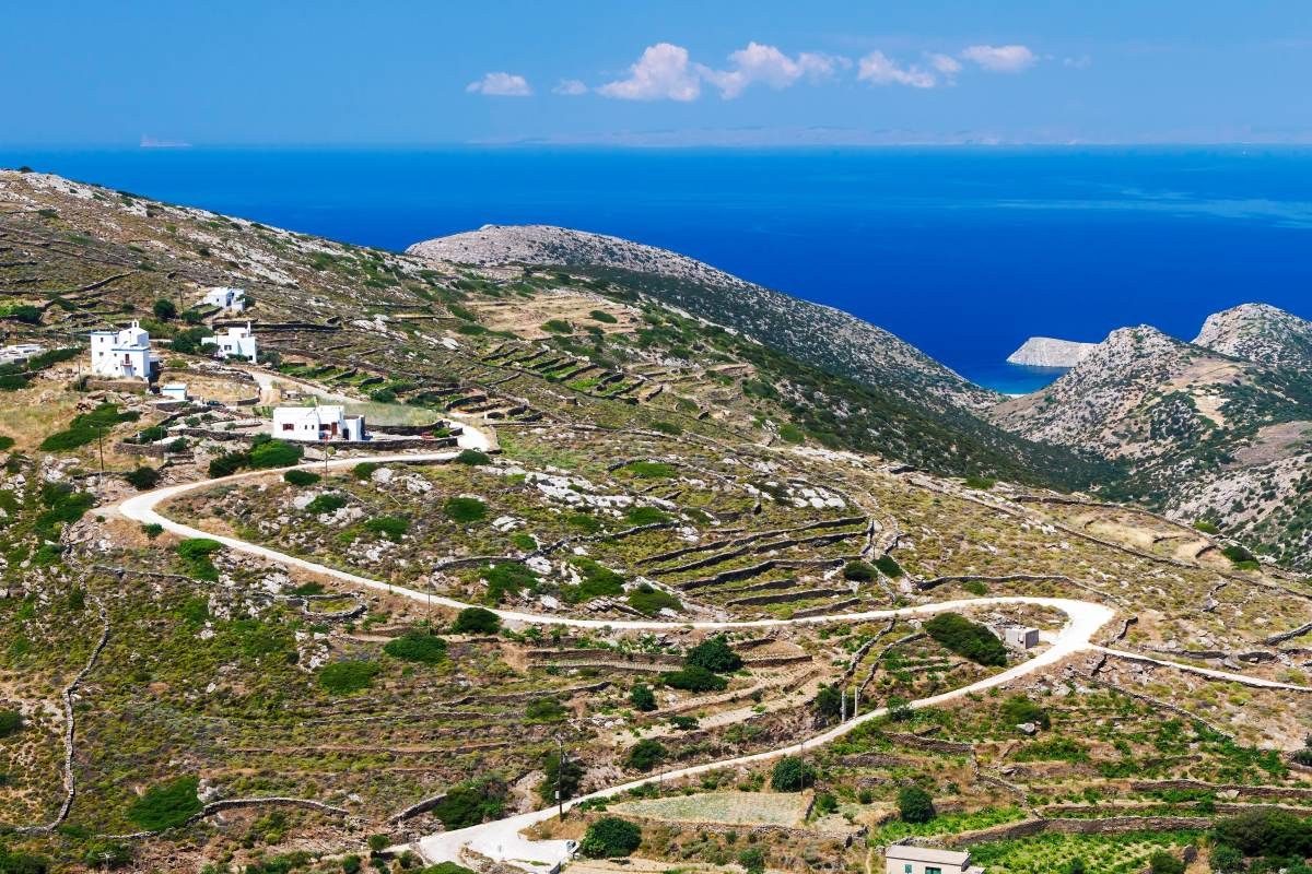 Σύρος
