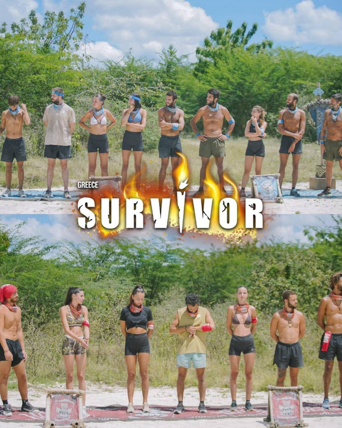 Survivor ομάδες