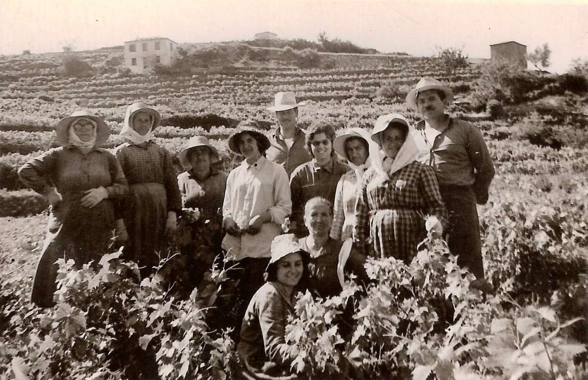 ΕΟΣ Σάμου