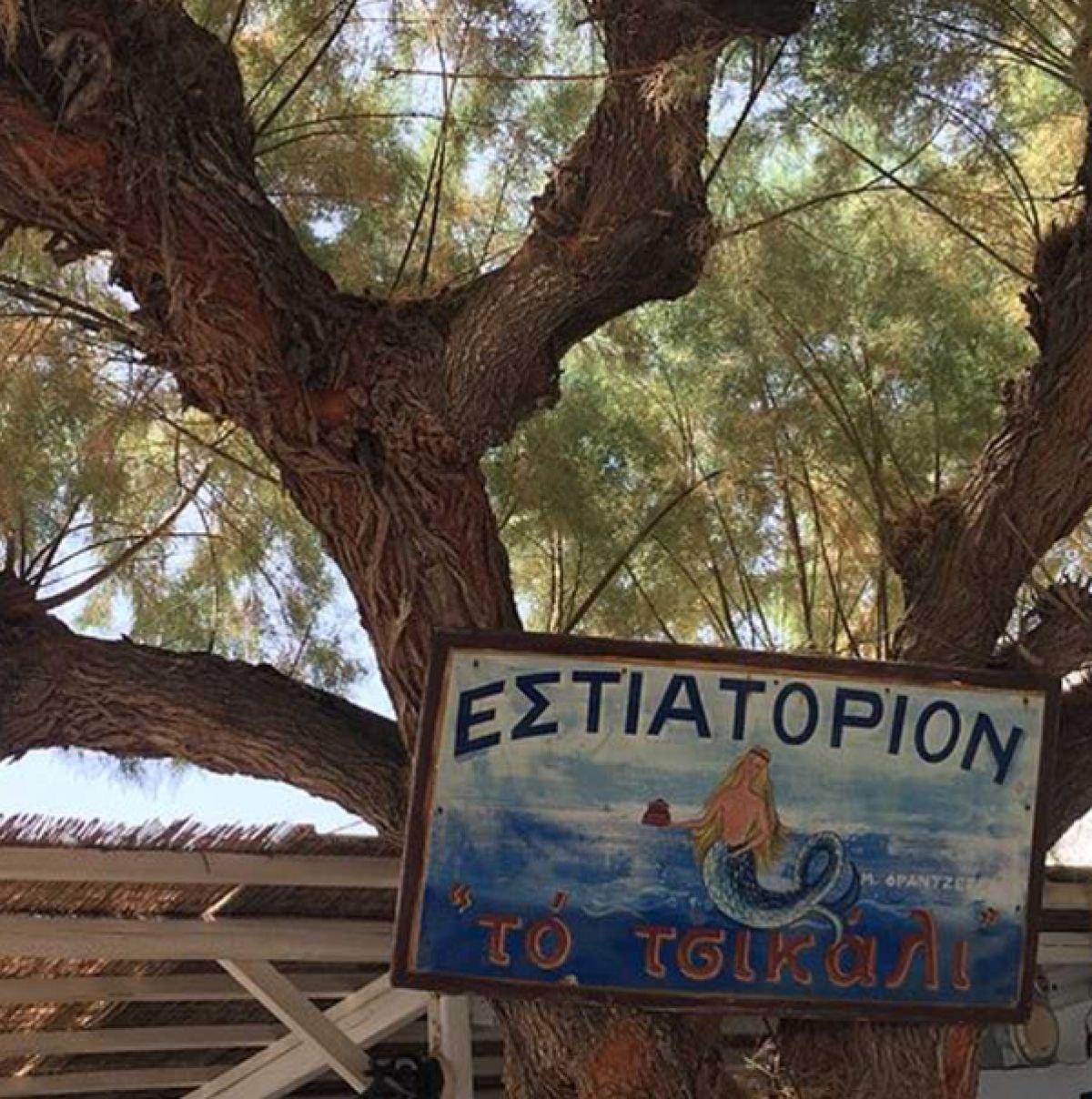 Το Τσικάλι: Αυθεντικές γεύσεις δίπλα στη θάλασσα