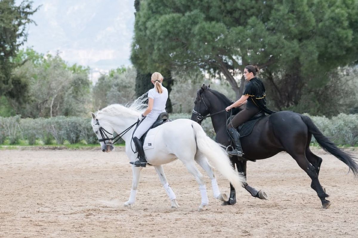 Ανθή Βούλγαρη