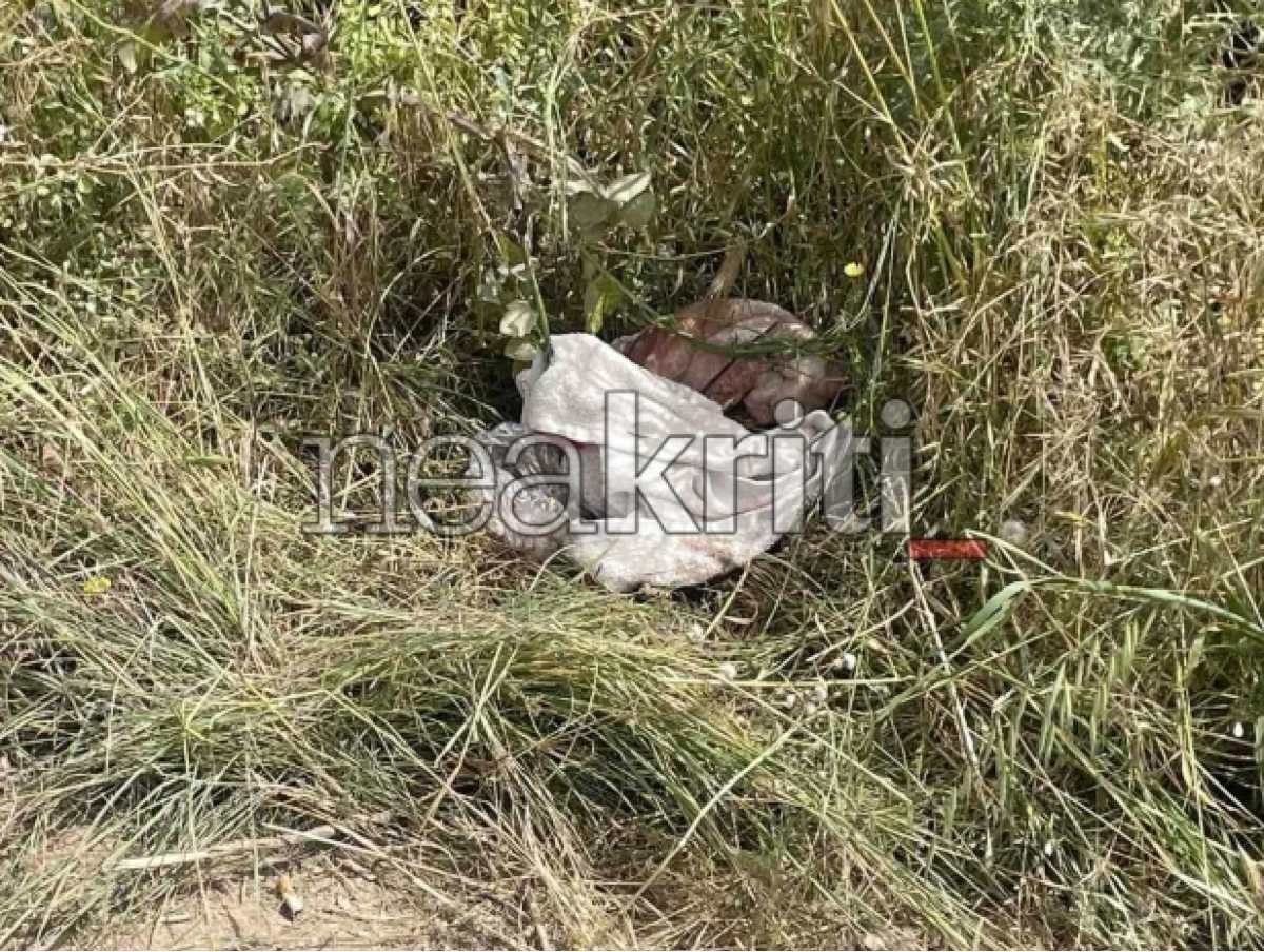Ηράκλειο
