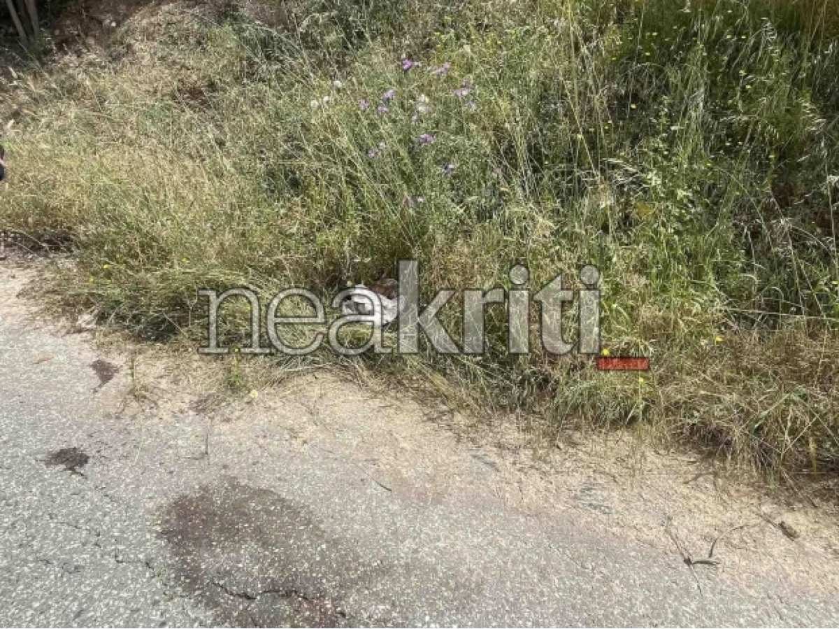 Ηράκλειο