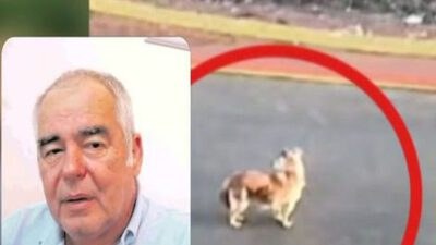 Γαστούνη