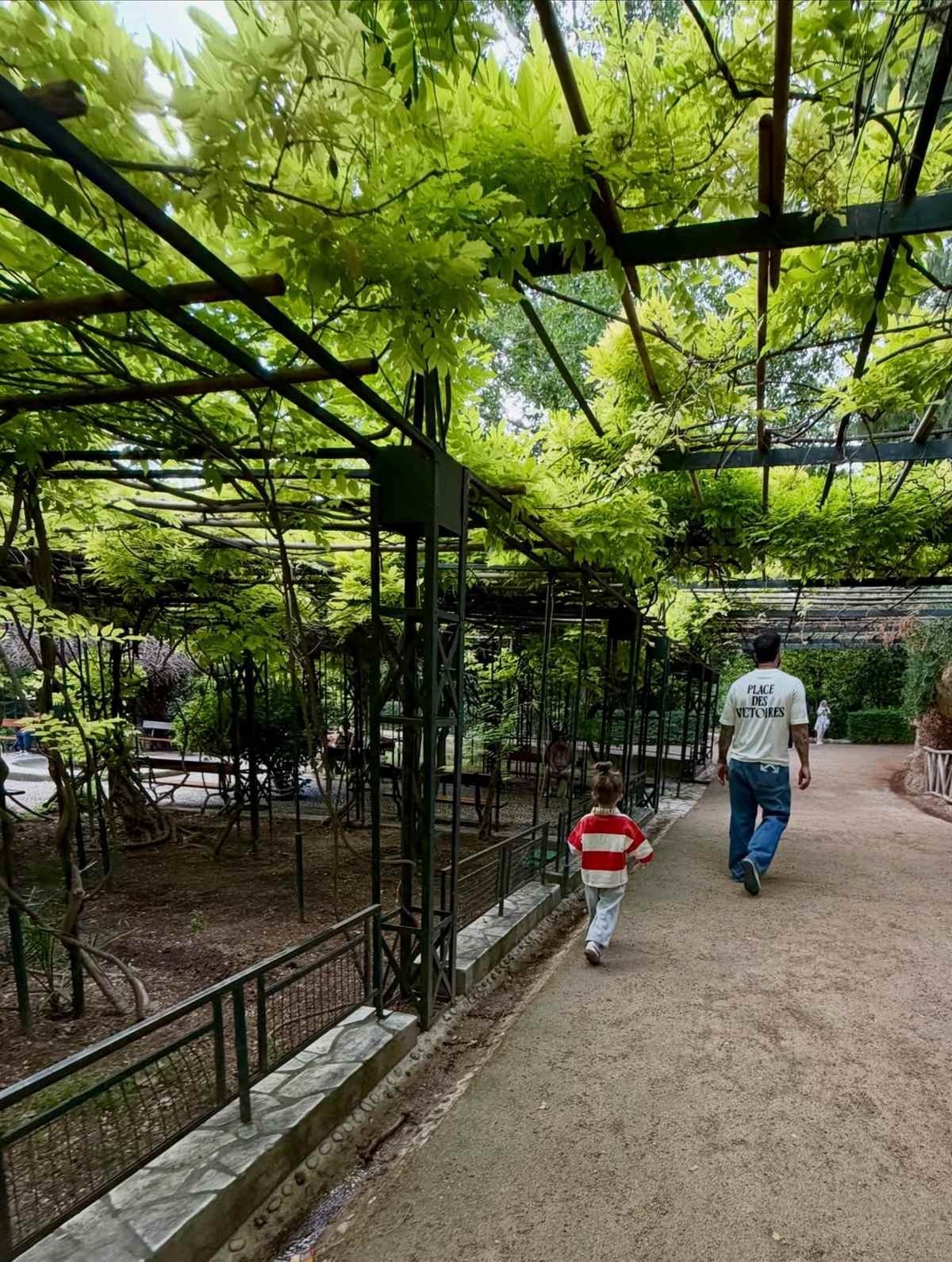 Αλεξάνδρου γιος