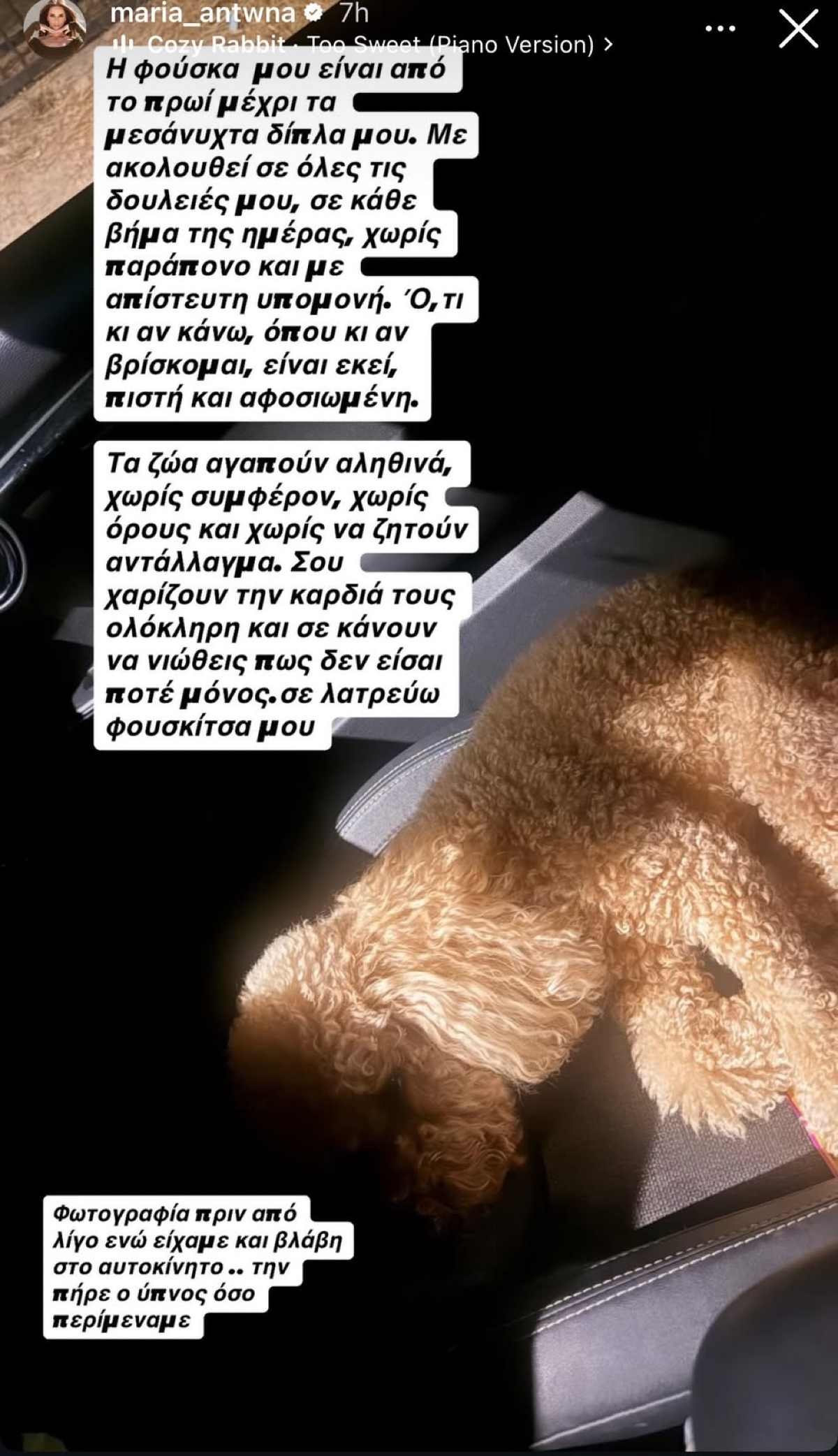 Η ανάρτηση της Μαρίας Αντωνά