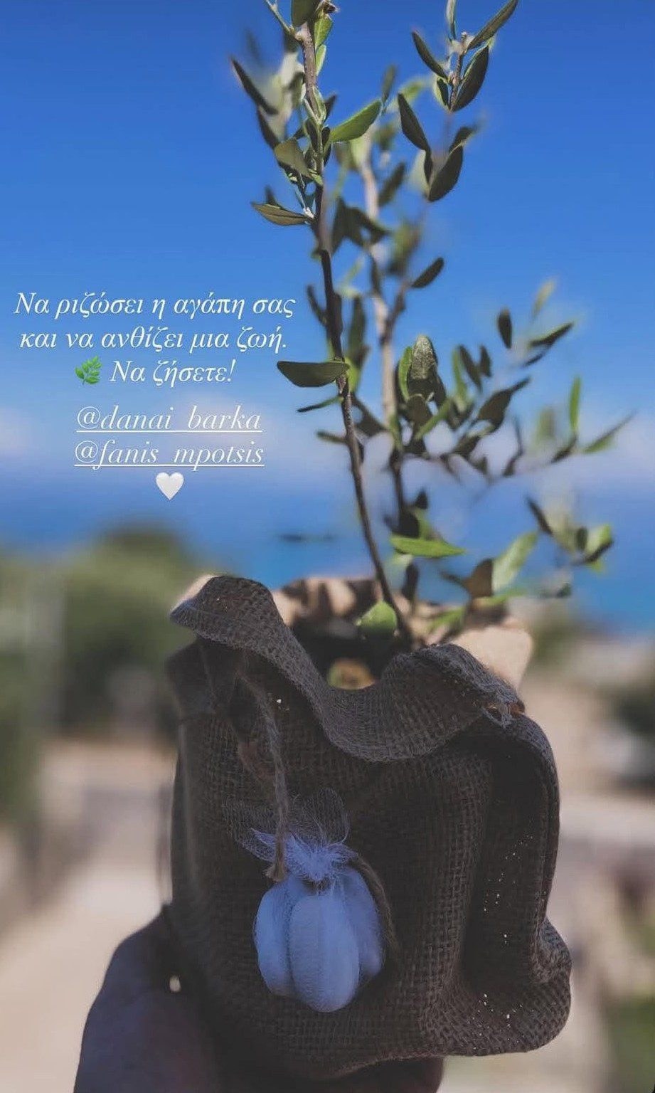 Δανάη Μπάρκα, Φάνης Μπότσης