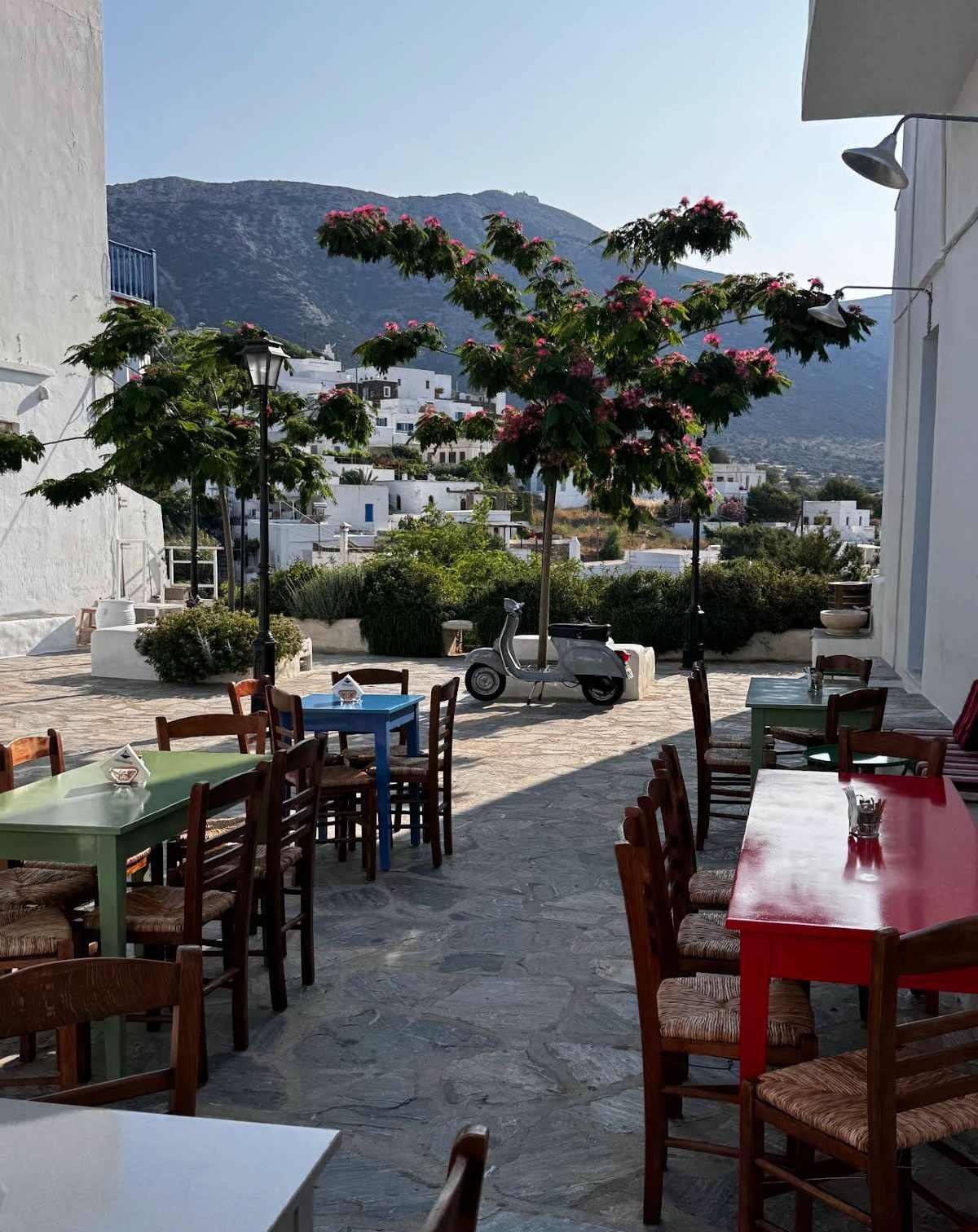 Δρακάκης: Το καφενείο-σύμβολο που κράτησε ζωντανή την αυθεντική γεύση της Σίφνου