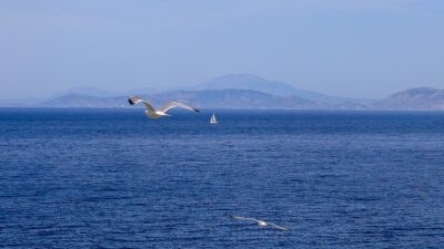 καιρός