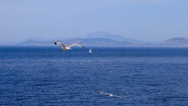 καιρός
