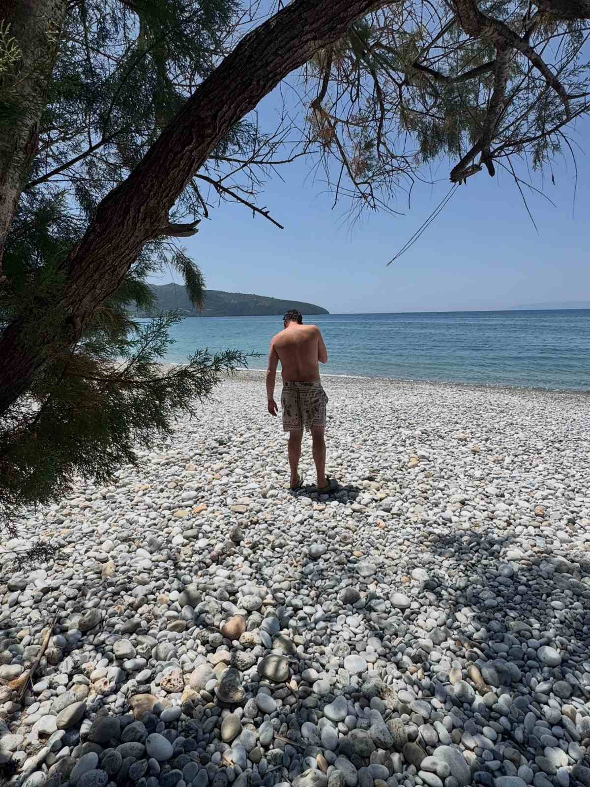 Φάνης Μπότσης