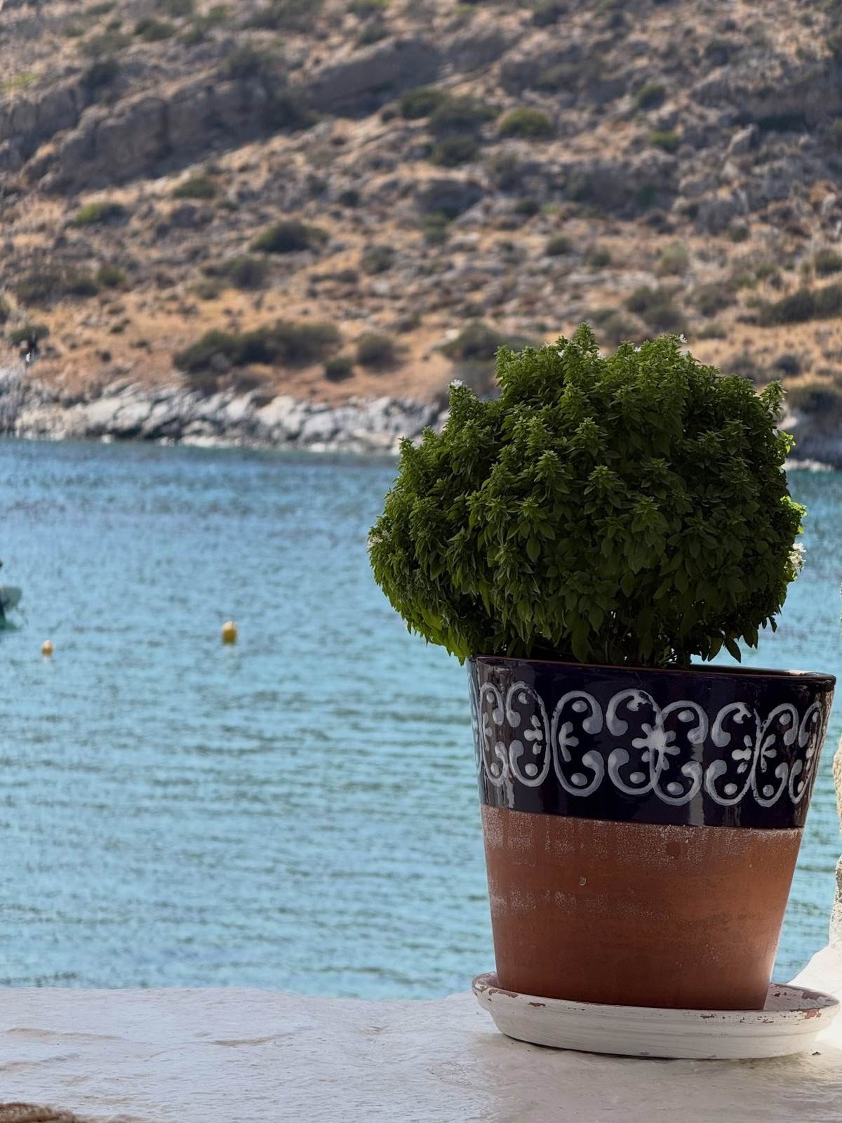 Διακοπές Τσιμτσιλή