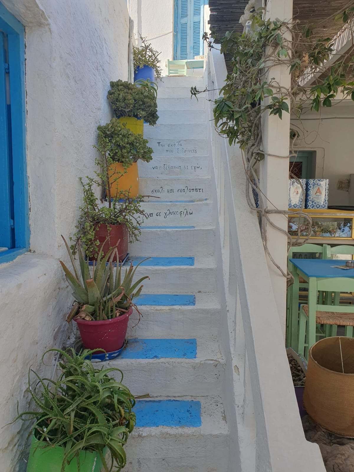 Διακοπές Τσιμτσιλή