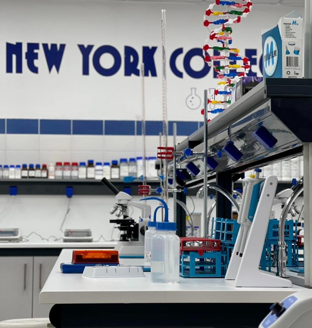new york college