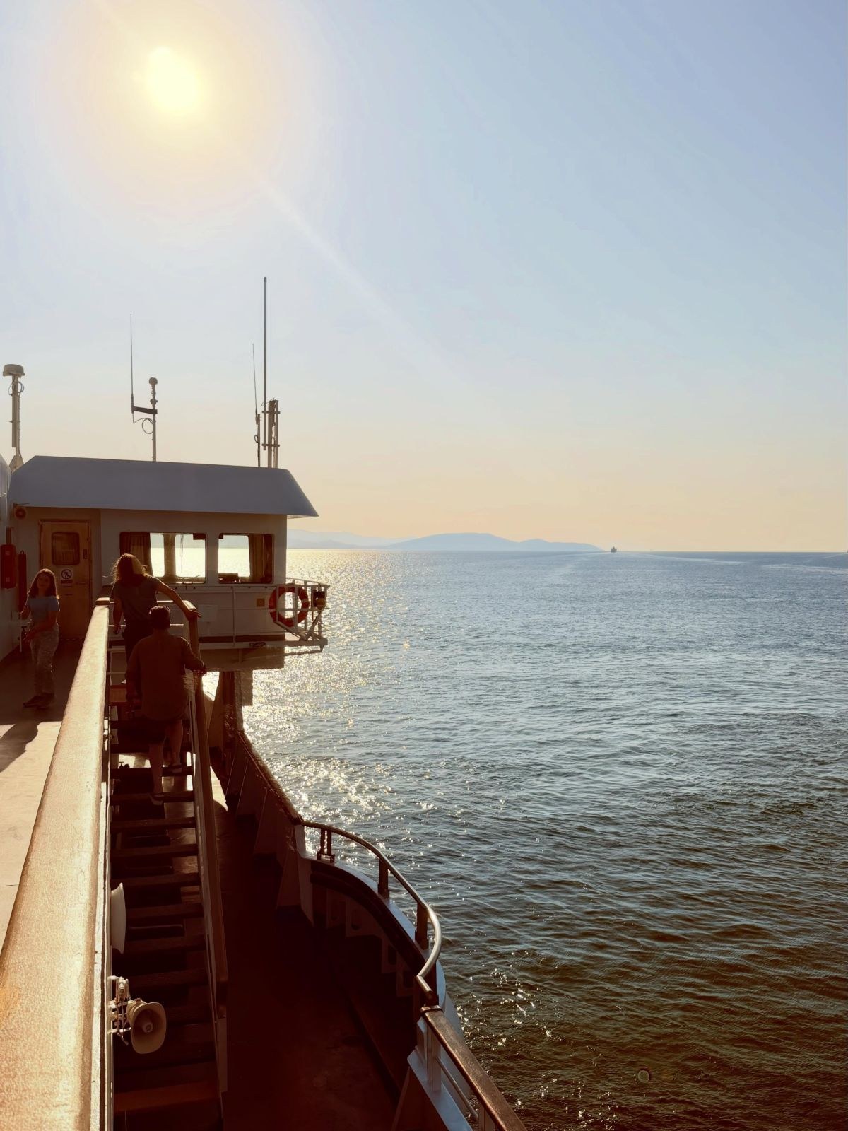 Ντορέττα Παπαδημητρίου, Γιώργος Γεροντιδάκης