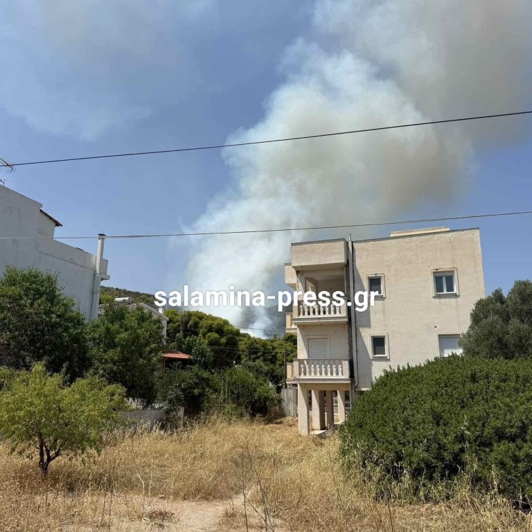 Μεγάλη φωτιά στη Σαλαμίνα: 90 πυροσβέστες και 4 εναέρια για να μην καούν σπίτια - Δείτε σε ποια περιοχή