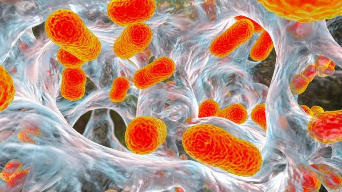 υπερβακτήριο Acinetobacter baumannii