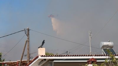 Φωτιά στη Σαλαμίνα