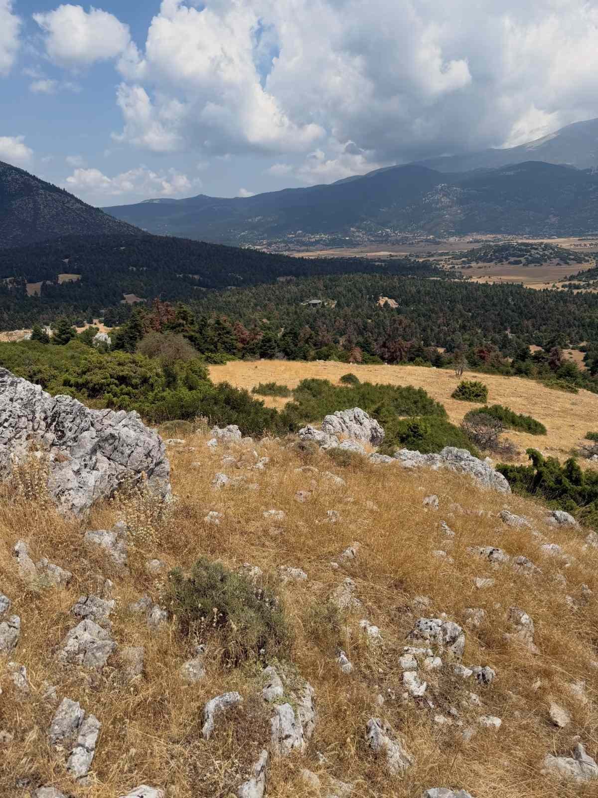 Μαρία Ελένη Λυκουρέζου