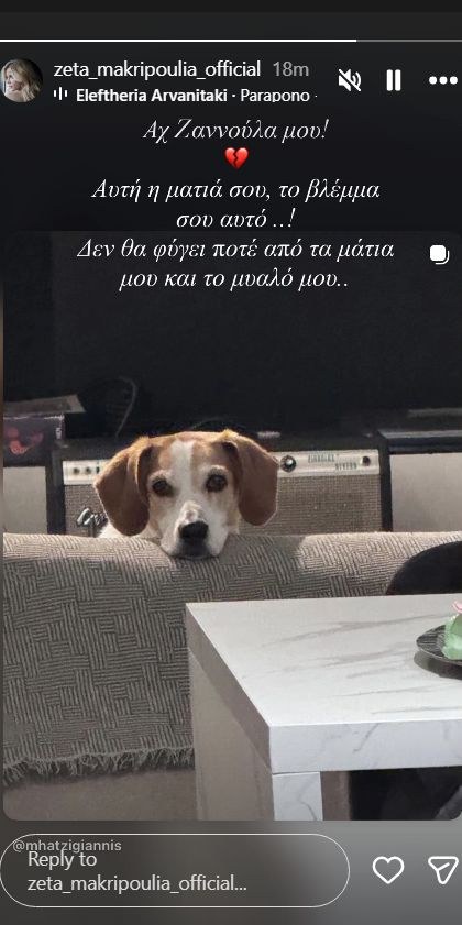 Μακρυπούλια-σκύλος