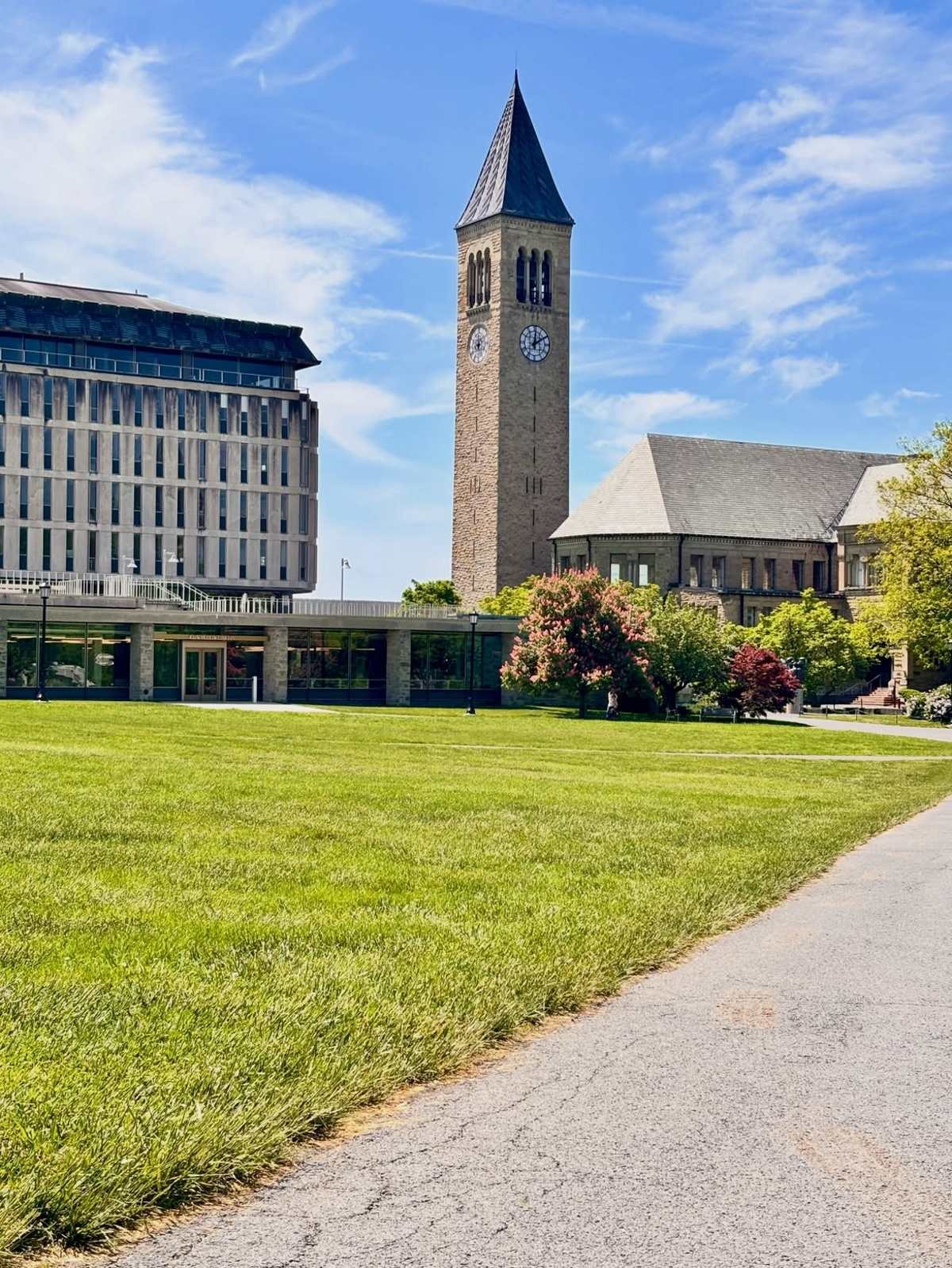 Βίαζαν κοπέλα στο Cornell