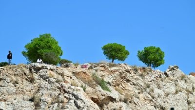Κυψέλη εντοπισμός ανθρώπινων οστών