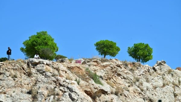 Κυψέλη εντοπισμός ανθρώπινων οστών