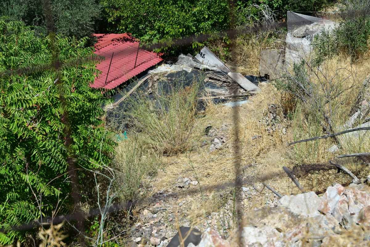 Κυψέλη εντοπισμός ανθρώπινων οστών