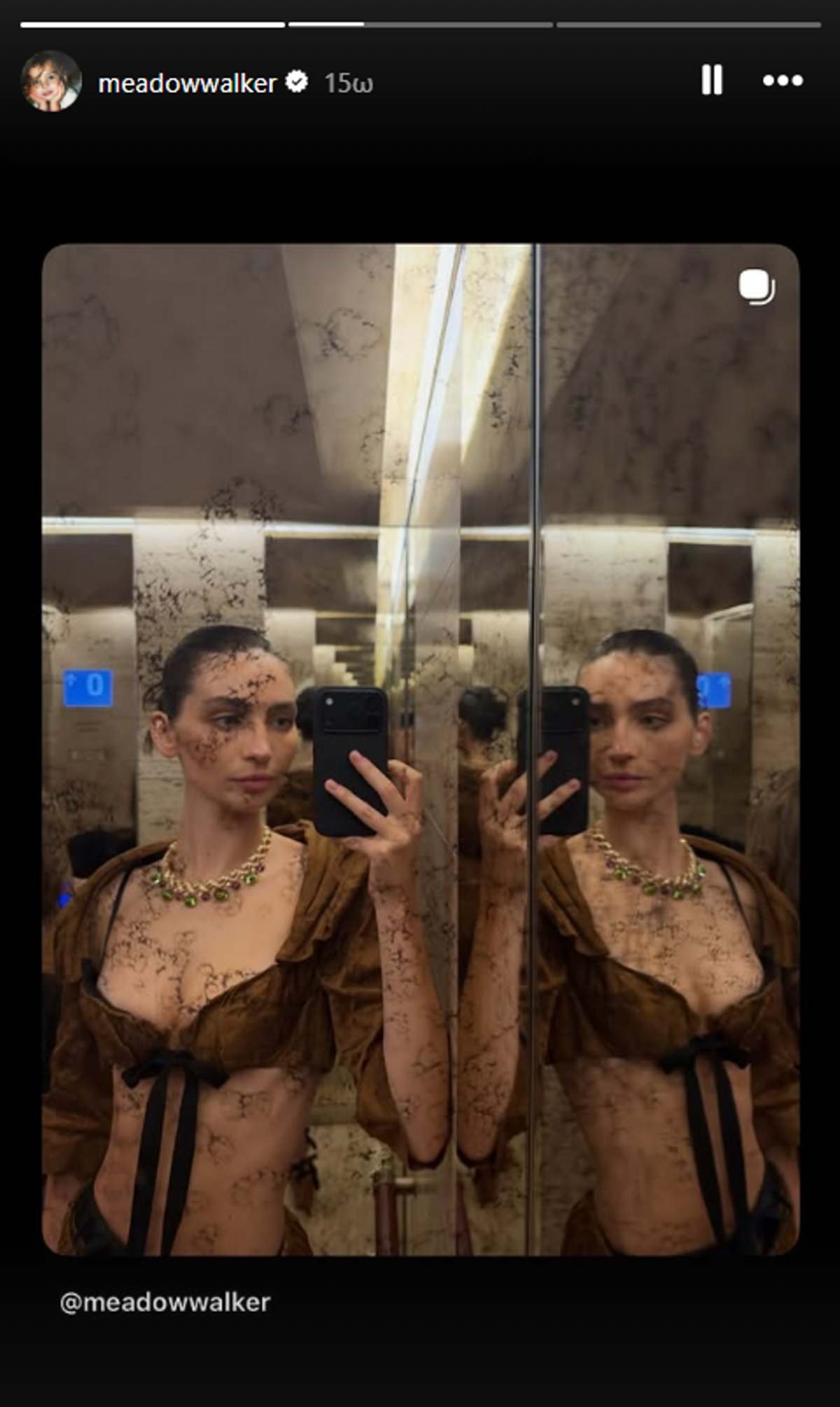 Meadow Walker βγάζει σέλφι