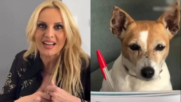Πέγκυ Ζήνα, Μιλού