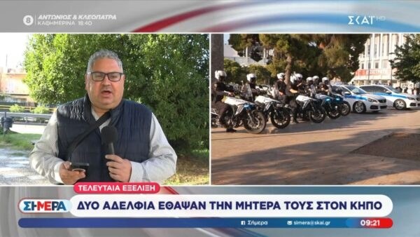 Αμαλιάδα