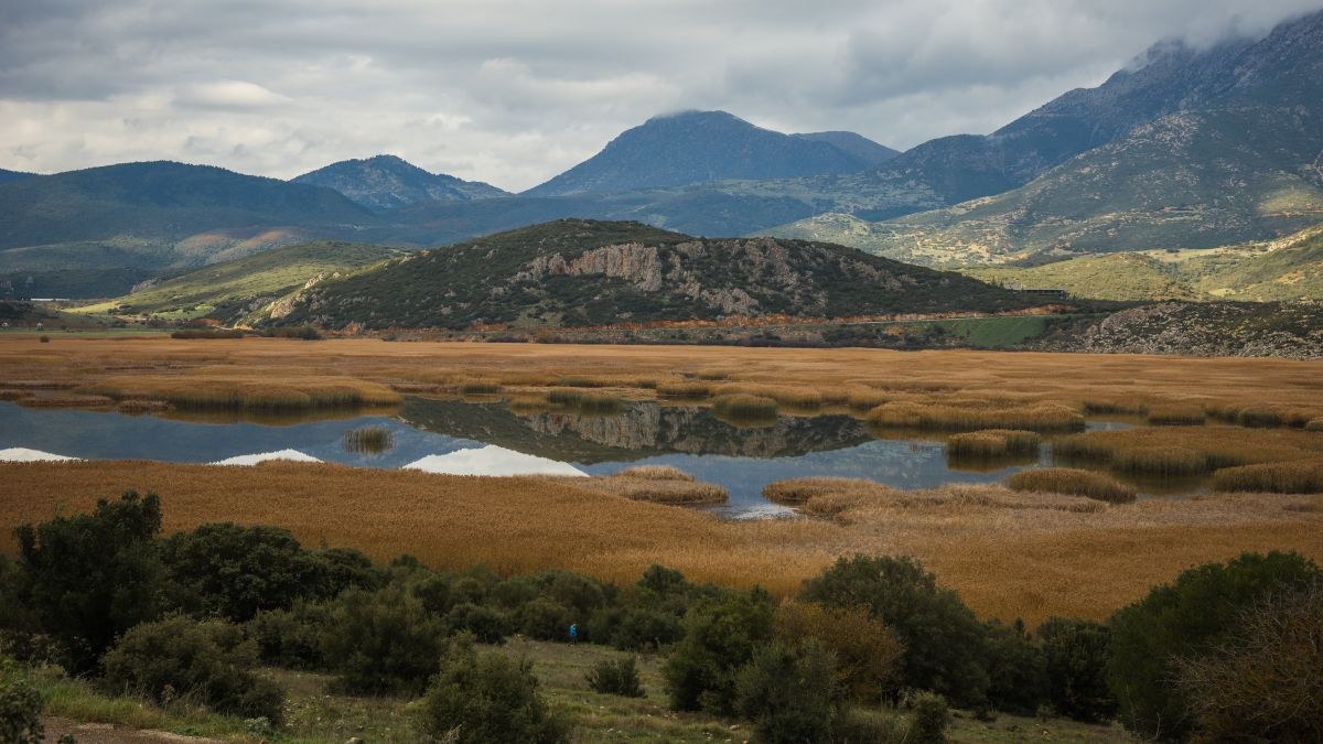 Νεμέα